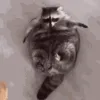 ICaChonkyBoi
