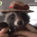 ICaHowdy ICaHowdy