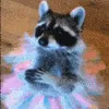 ICaDance