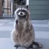 ICaHiHello