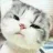 cat Discord Emoji