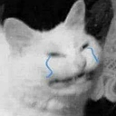 catcri Discord emoji