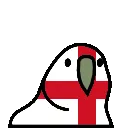 Fenglandparrot