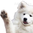 waveBoye Discord emoji