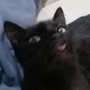 f_CatBlep Discord emoji