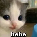 cat_hehe