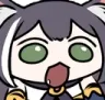 KotPog