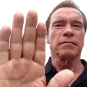 arnoldHalt