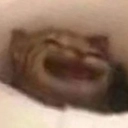 sadkitty Discord emoji