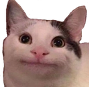 kitty Discord emoji
