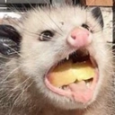 Open Discord emoji