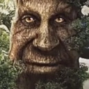 mysticwisetree mysticwisetree