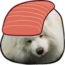 keelasash
