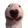 waltersmile waltersmile