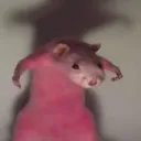 bagarre