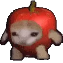 9_applecatspin