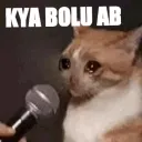kyaBoluAb