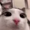 plink