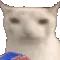 mmmCHIPS