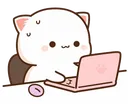 developer