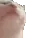 catJAM