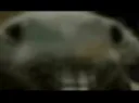 xpping
