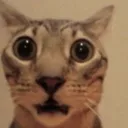 huh