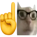 catnerd catnerd