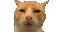 RG_huh Discord emoji