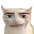 Manface_cat