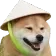 Bw_dogi