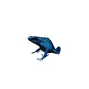 froggo Discord emoji