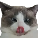 BernardMlem