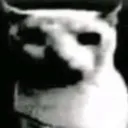Why