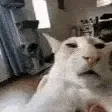 guh