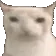 gunymedeChew gunymedeChew