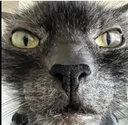 incredulous