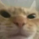 __ __