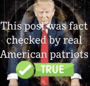 Donald Trump portrait with text reading This post was fact checked by real American patriots and a green true checkmark.