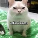 leomn