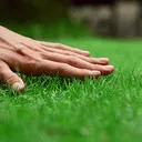 touchgrass touchgrass
