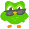 duoSunglasses