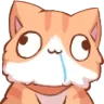CatDerpOrange Discord Emoji