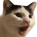 pog