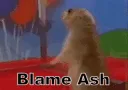 blame_ash