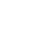 BSS