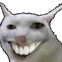 catwhasgud