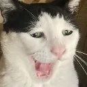 RAAAAAHHHHH