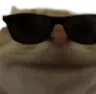 coolcat coolcat