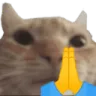 catPray catPray
